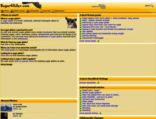 sugarglider.com screenshot