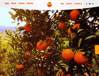 sunich.net screenshot