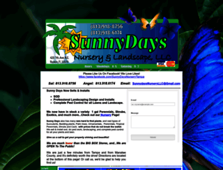 sunnydaysnurserytampa.com screenshot