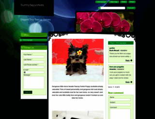 sunnydayyorkies.webnode.com screenshot