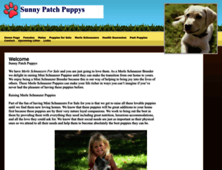 sunnypatchpuppys.com screenshot