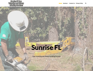 sunrisefltreecare.com screenshot