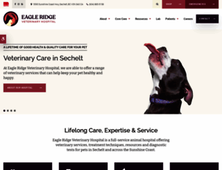 sunshinecoastvet.com screenshot