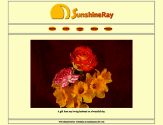 sunshineray.com screenshot