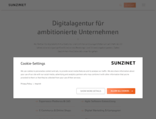 sunzinet.com screenshot
