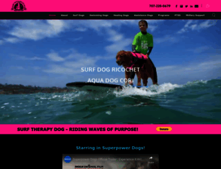 surfdogricochet.com screenshot