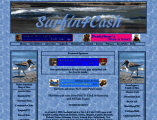 surfin4cash.net screenshot