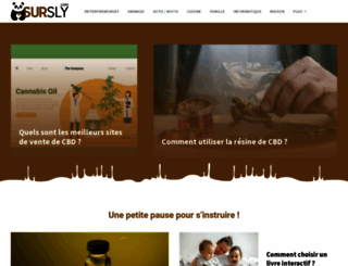 sursly.com screenshot