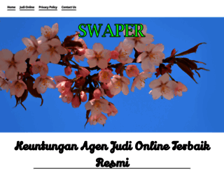 swaper.info screenshot