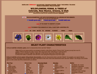 swcoloradowildflowers.com screenshot