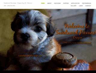 sweetwoodhavanese.com screenshot