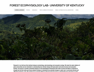 sybilgotsch.com screenshot