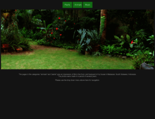 sybout.com screenshot