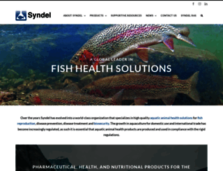syndel.com screenshot