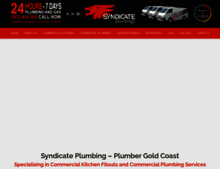 syndicateplumbing.com screenshot