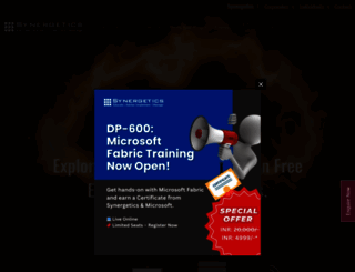 synergetics-india.com screenshot