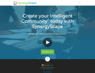 synergyscape.com screenshot