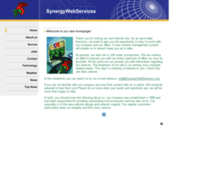 synergywebservices.com screenshot