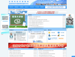 syyb.gov.cn screenshot