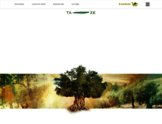 ta-ze.com.tr screenshot