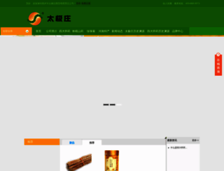 taijizhuang.net screenshot