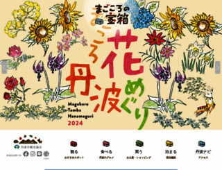 tambacity-kankou.jp screenshot