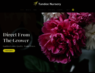 tandeenursery.co.uk screenshot