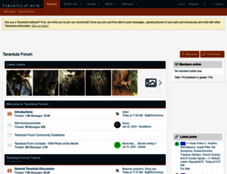 tarantulaforum.com screenshot