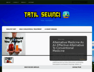 tatilsevinci.com screenshot