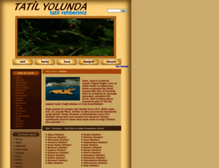 tatilyolunda.com screenshot