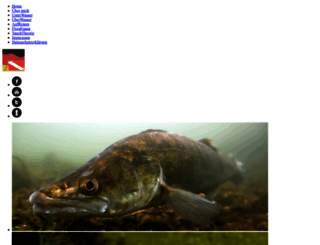 tauchrevierdeutschland.de screenshot