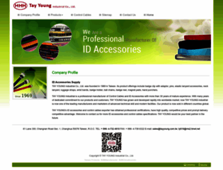 tayyoung.com screenshot
