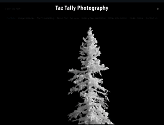 taztallyphotography.com screenshot