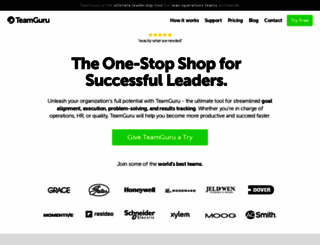 teamguru.com screenshot