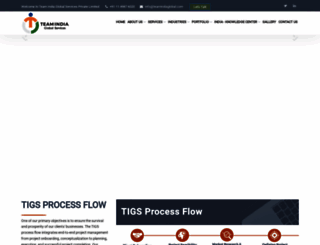 teamindiaglobalservices.com screenshot