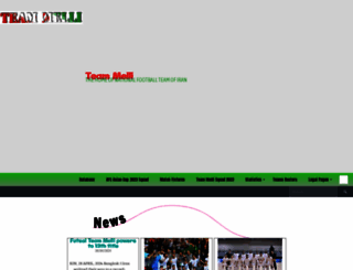 teammelli.com screenshot