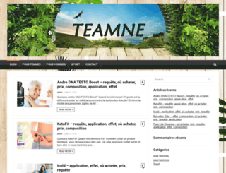 teamne.net screenshot