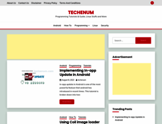 techenum.com screenshot