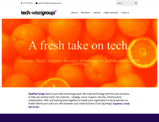 techwisegroup.com screenshot