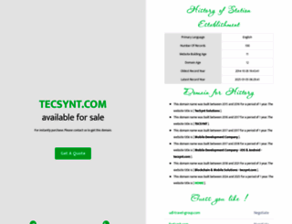 tecsynt.com screenshot