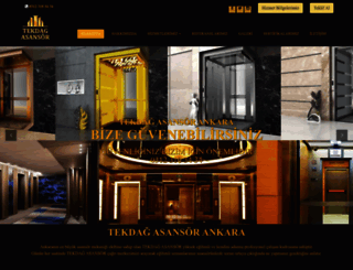 tekdagasansor.com screenshot
