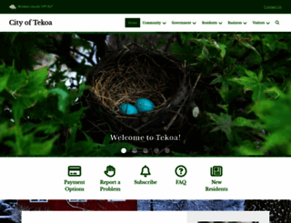 tekoawa.com screenshot
