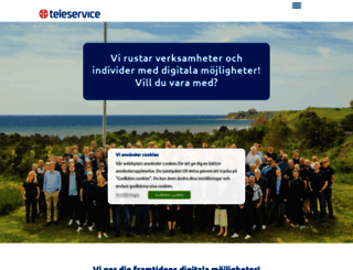teleservice.net screenshot