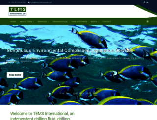 tems-international.com screenshot