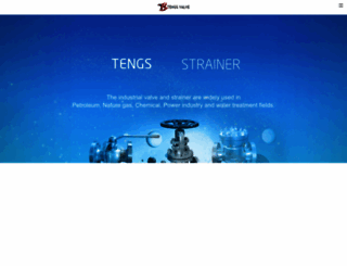 tengsvalve.com screenshot