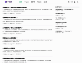 tengzi.cn screenshot