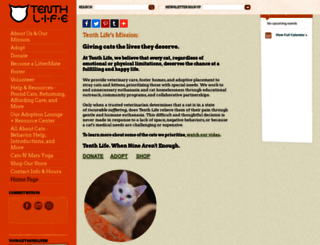 tenthlifecats.org screenshot