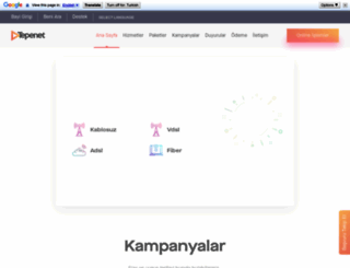 tepenet.com.tr screenshot