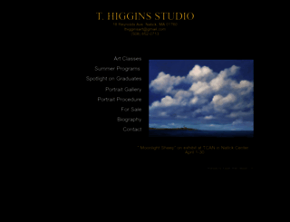 teresahiggins.com screenshot