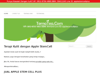 ternatea.com screenshot